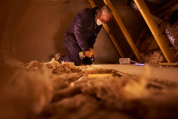 Best Basement Insulation  in Gallatin, MO